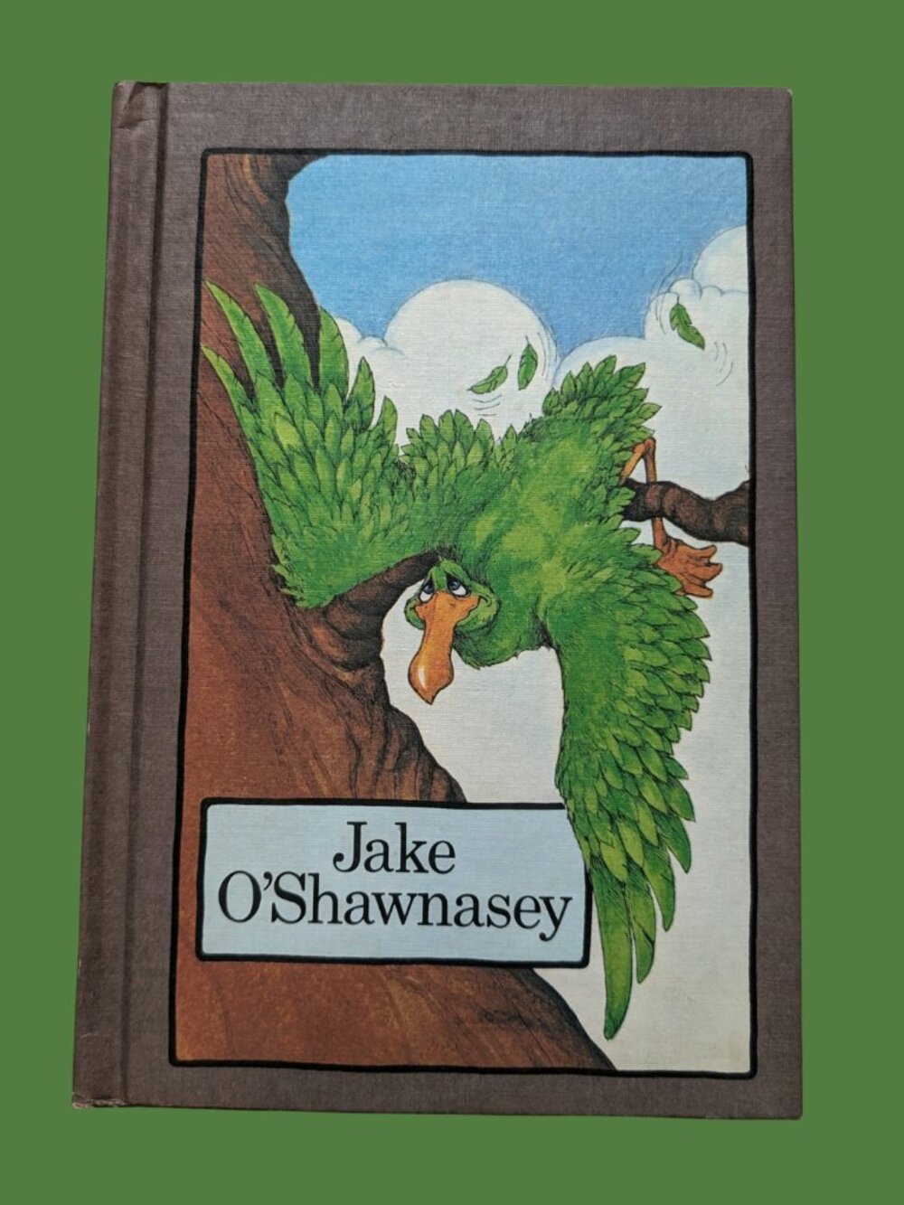 BOGO Vintage 80s Serendipity Book Jake O'Shawnasey by Stephen Cosgrove Hardcover